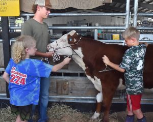 Mon County Fair